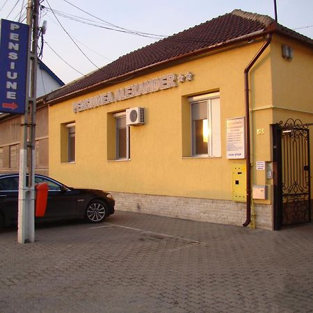 Pensiunea Alexander Arad Esterno foto