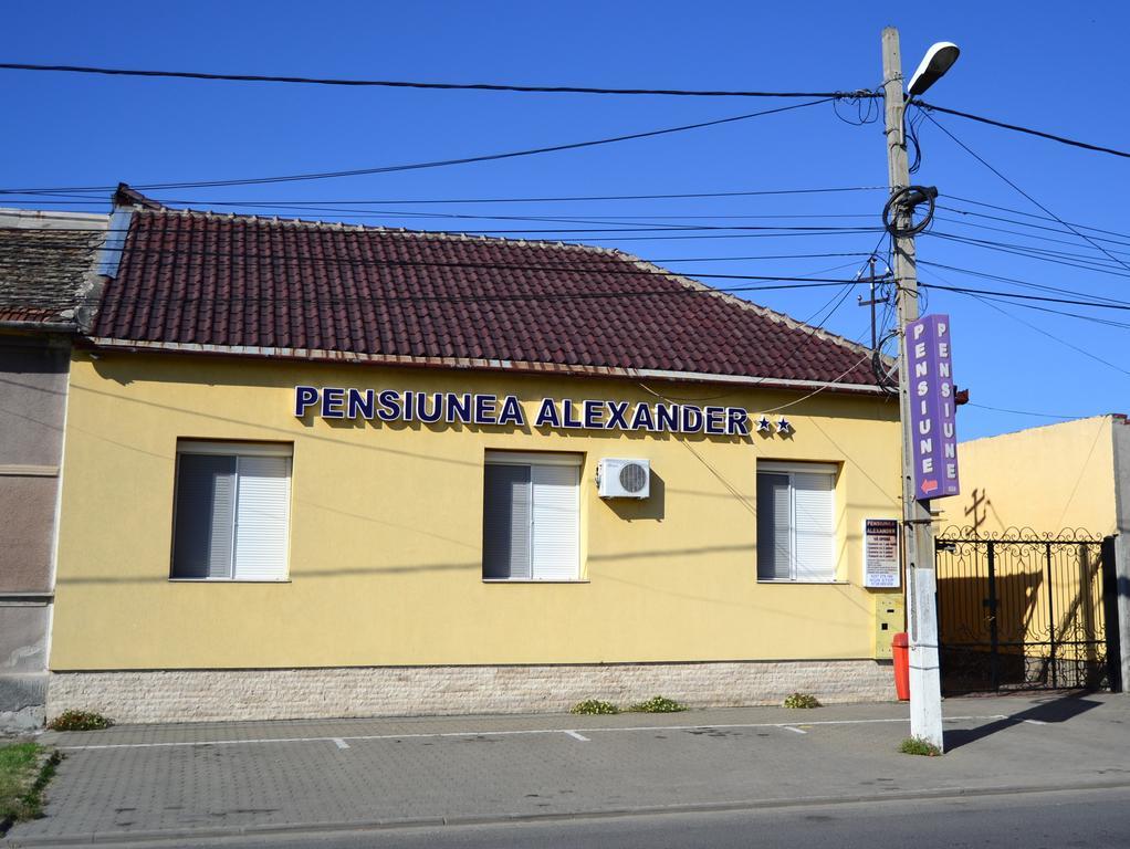 Pensiunea Alexander Arad Esterno foto